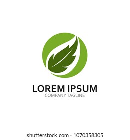 ecology logo modern leaf icon illustration