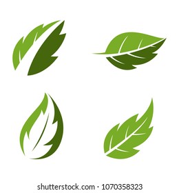 ecology logo modern leaf icon illustration set