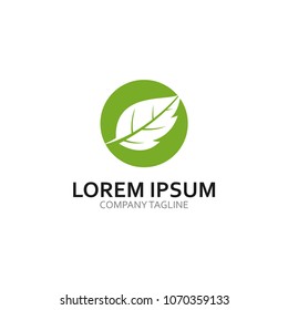 ecology logo modern leaf icon illustration
