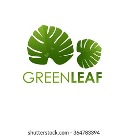 Ecology logo sign , green leaf design, growth leaves vector illustration.