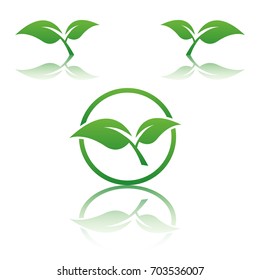 Ecology logo template. Leaf icon. Eco lifestyle concept. 