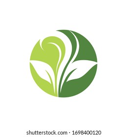 Diseño de ilustraciones de iconos vectoriales del logotipo ecológico