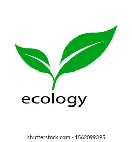 ecology logo.leaf logo design template