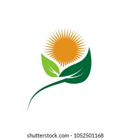 ecology logos of green leaf nature element icon on white background .vector illustrator