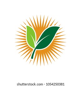 ecology logos of green leaf nature element icon on white background .vector illustrator