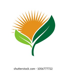 ecology logos of green leaf nature element icon on white background .vector illustrator