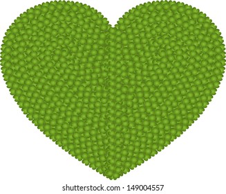 Ecology and Love Concept, Fresh Green Four Leaf Clover Forming A Big Heart Shape Isolated on White Background 