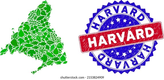 Ecology Madrid Province map collage of herbal leaves in green color variations and grunge bicolor Harvard seal. Red and blue bicolored seal with scratched style and Harvard tag.
