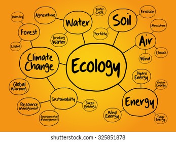 Ecology mind map flowchart concept for presentations and reports
