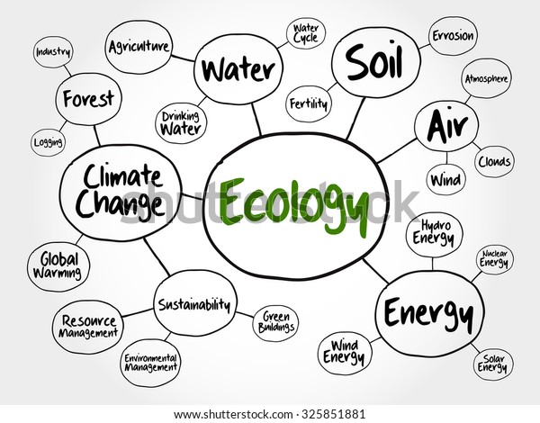 steps to an ecology of mind
