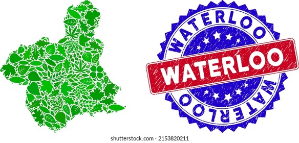 Ecology Murcia Province map collage of herbal leaves in green color tones and grunge bicolor Waterloo stamp. Red and blue bicolored stamp with unclean texture and Waterloo tag.