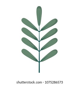 ecology natural plant with leaves design