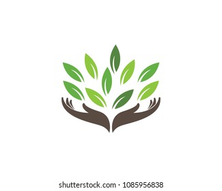 ecology nature elemen vector