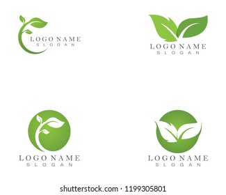 ecology nature element vectors