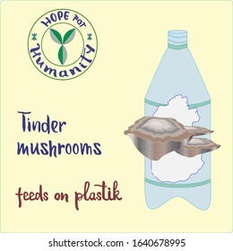 Ecology, nature protection, hope for humanity. Polypore mushrooms feeds on plastic. Discovery of the science of biology. Vector illustration with hand writing. Lettering, typography, calligraphy. 