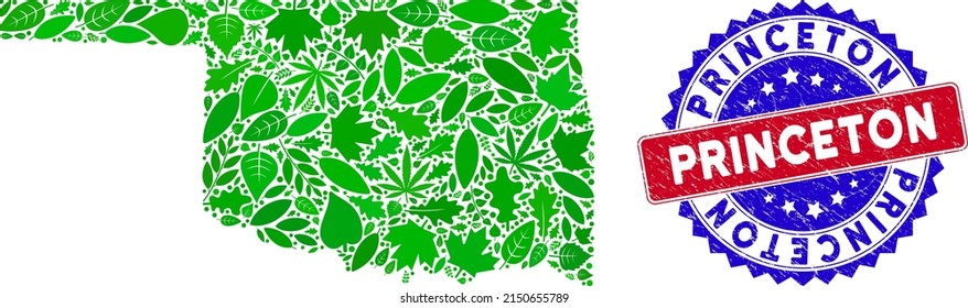 Ecología Collage de mapas estatales de hojas de hierbas en tonos verdes con estampado de Princeton bicolor grunge. Sello bicolores rojo y azul con superficie de caucho y frase Princeton.