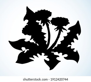 Ecology organic fresh prime seed bouquet decor set on light paper text space backdrop. Freehand outline black color ink pen hand drawn eco object emblem design in retro art doodle style. Close up view