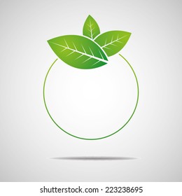 Ecology, organic with leafs 