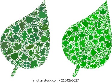 Ecología planta la composición de ícono de hoja de hoja de plantas de hojas de plantas en tonos verdes y naturales. Plantilla de vector de entorno ecológico para icono de hoja de planta.