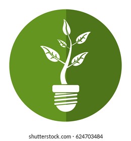 ecology plant leaf nature shadow