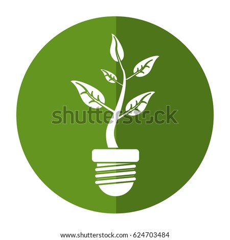 ecology plant leaf nature shadow