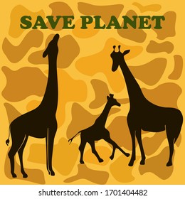 Ecology poster, text "Save planet", silhouettes of three giraffes on a spotted background, African animals in danger, poaching, killing animals. Vector stock illustration, isolated. 