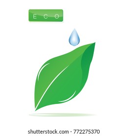 Ecology protection logo - green leaf - drop of dew - isolated on white background - art vector