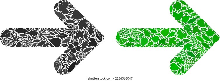 Ecology right arrow icon composition of herbal leaves in green and natural color tints. Ecological environment vector concept for right arrow icon.