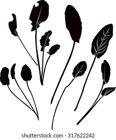 Ecology set. Vector