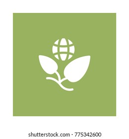 Ecology  Square flat