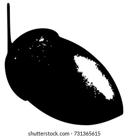 Ecology stylized vector illustration. Oak leaf, acorn and branch isolated silhouette. Eco nature seasonal graphic
