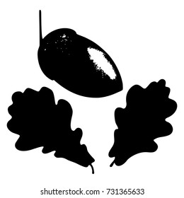 Ecology stylized vector illustration. Oak leaf, acorn and branch isolated silhouette. Eco nature seasonal graphic