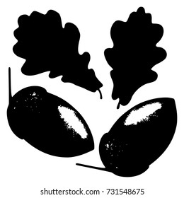 Ecology stylized vector illustration. Oak leaf, acorn and branch isolated silhouette. Eco nature seasonal graphic