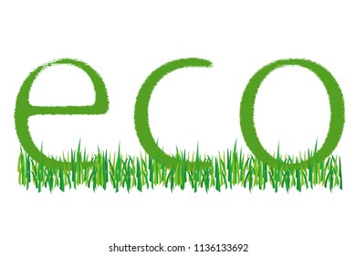 Ecology text in green.