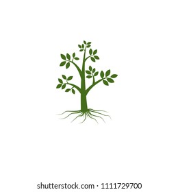 ecology tree green logo icon vector template