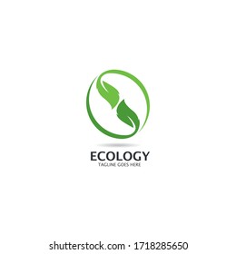 Diseño de plantilla de logotipo de hoja de árbol ecológico 