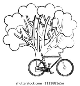 ecology tree plant with bicycle