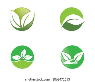 Ecology vector icon