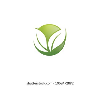 Icono de vector de ecología