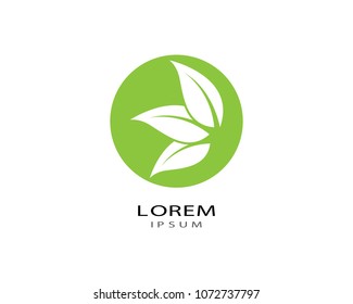 Icono de vector de ecología