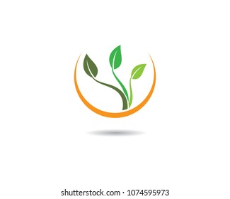 Icono de vector de ecología