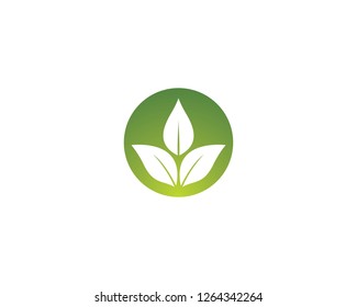 Ecology vector icon