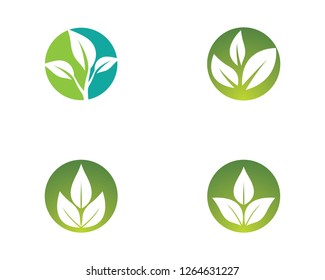 Ecology vector icon