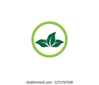 Ecology vector icon