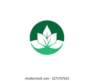 Ecology vector icon