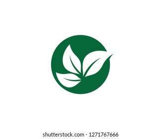 Ecology vector icon