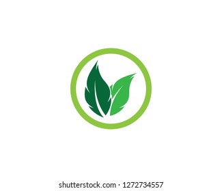 Ecology vector icon