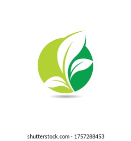 Diseño de ilustraciones de iconos de vectores de ecología