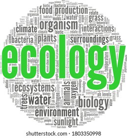 Ecology vector illustration word cloud isolated on a white background.