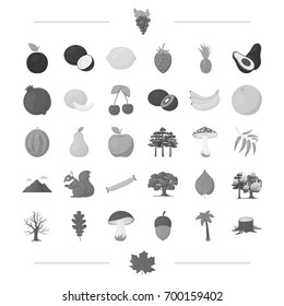 ecology, vitamins, fruit and other web icon in monochrome style.fauna, nature, protection, icons in set collection.